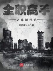 全职高手之重返巅峰