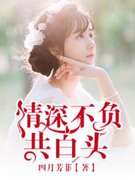 情深不负共白头沈北苏念免费