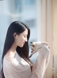 总裁的卧底新妻