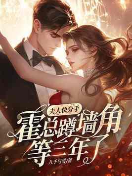 夫人快分手霍总蹲墙角等三年了